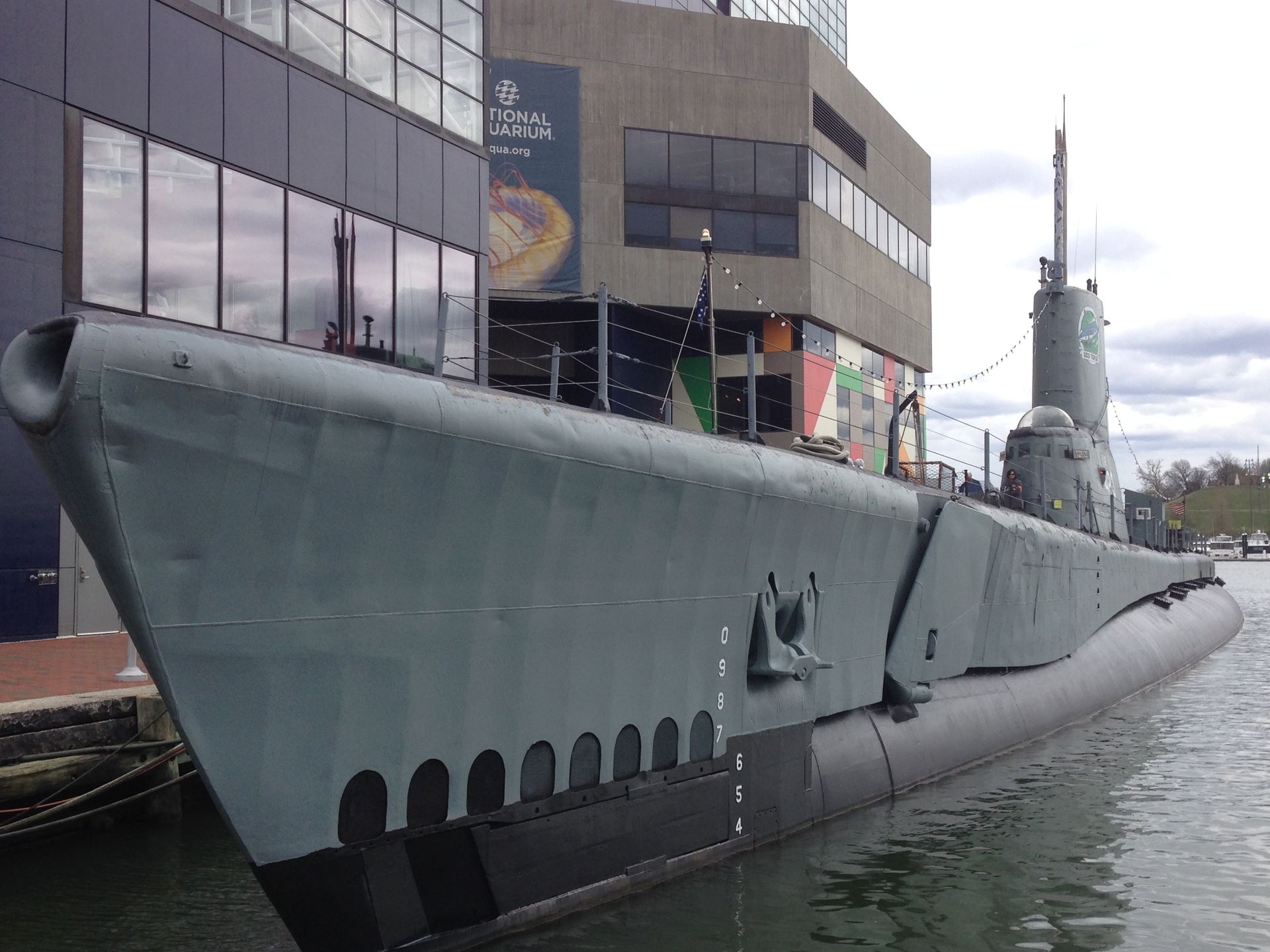 A sailboat with the number 5 01 on the sail