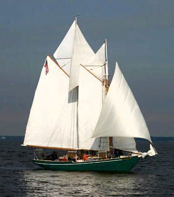 A sailboat with the number 5 01 on the sail