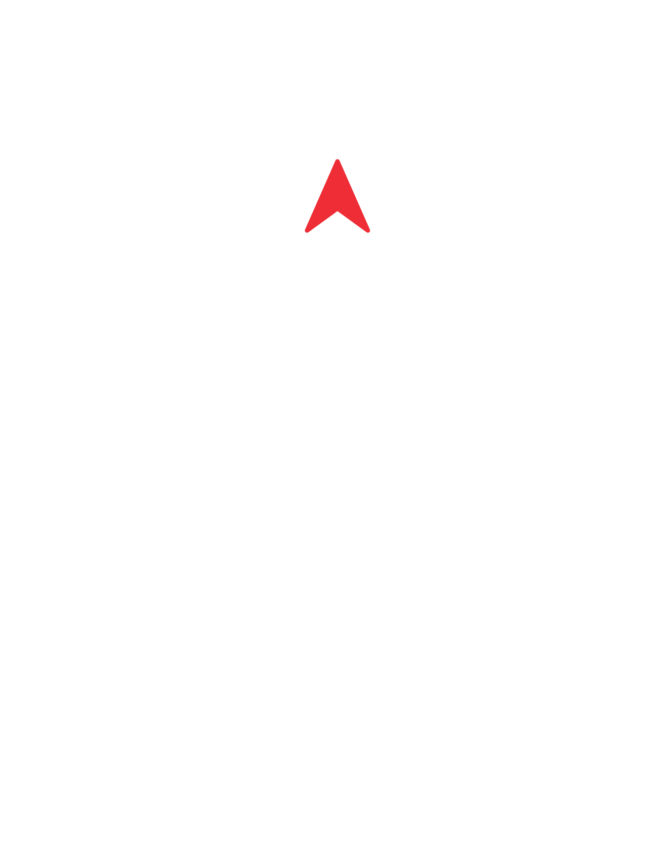 Sail 250's logo, a red arrow pointing up on a white background.