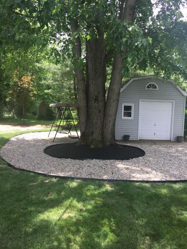 Trees — Atwater, OH — Northern Buckeye Lawn & Landscape