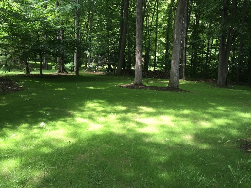 Green Lawn with Trees — Atwater, OH — Northern Buckeye Lawn & Landscape
