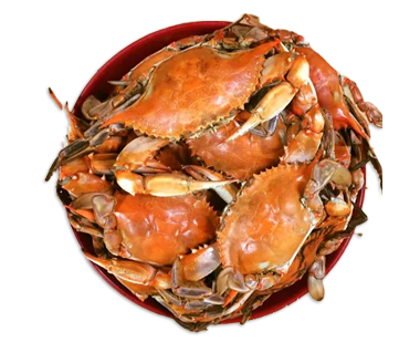 Crabs — New Iberia, LA — R & M's Boiling Point