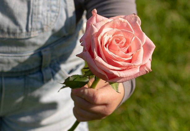 afscheidsbloemen, gorredijk, margriet, extra's, rouw, bloemen, het idee,