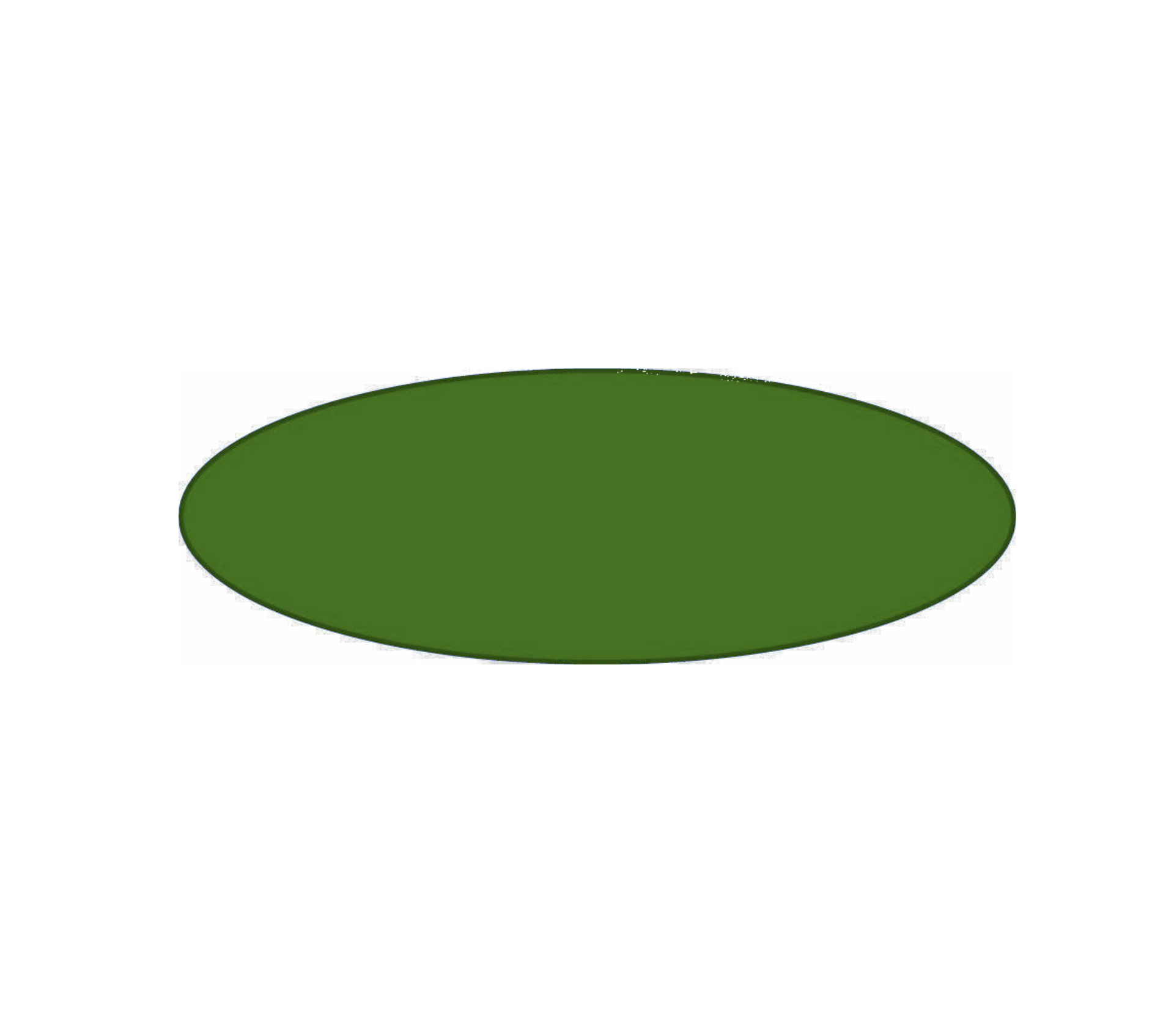 Een groen ovaal op een witte achtergrond.