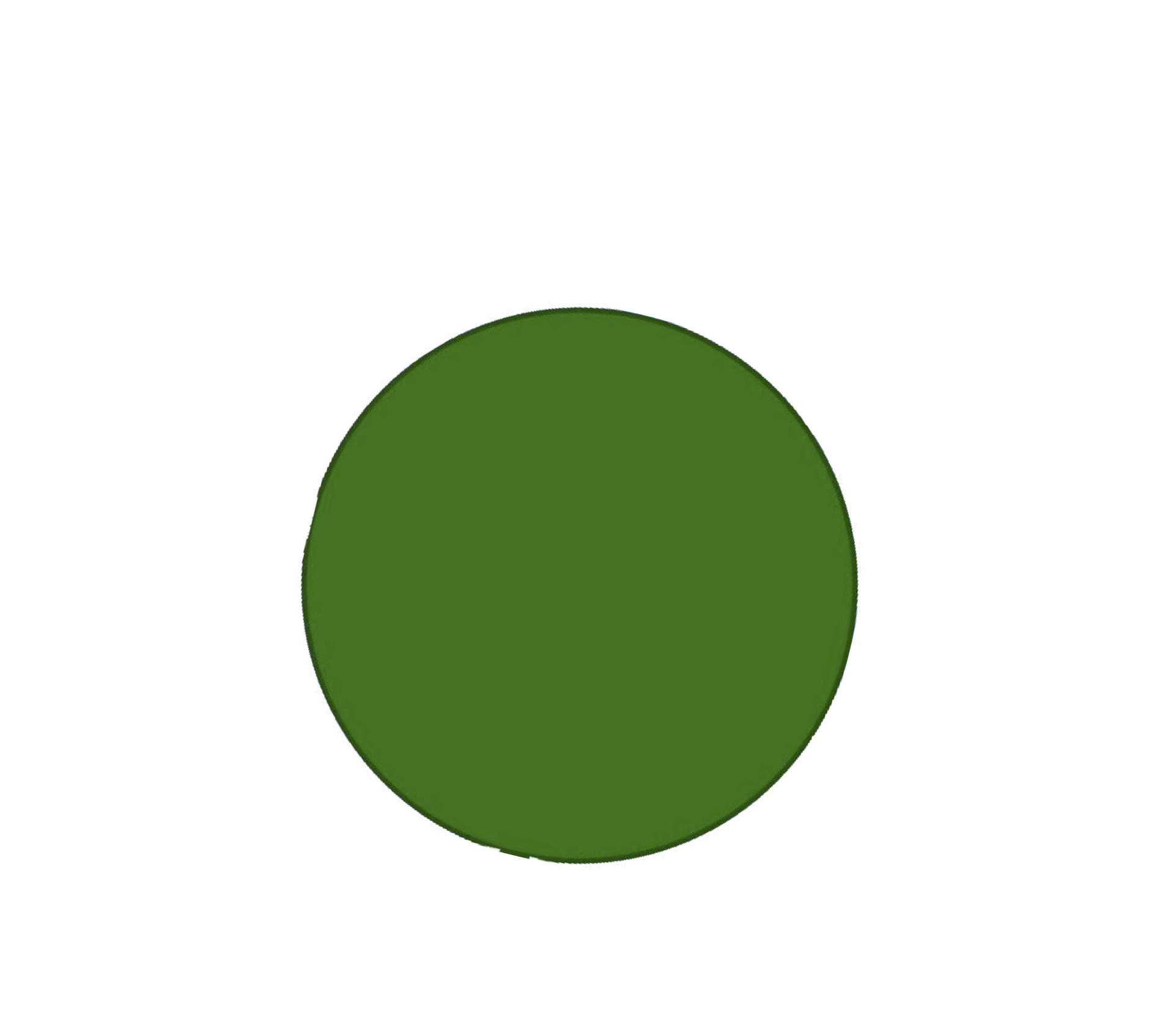 Een groene cirkel bevindt zich op een witte achtergrond.