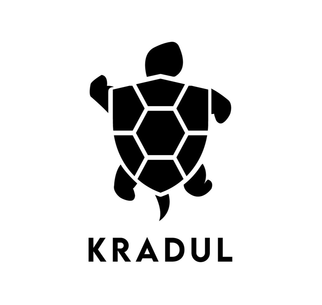 Black and white logo: turtle silhouette with segmented shell and text 