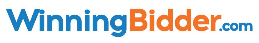 A blue and orange logo for winningbidder.com