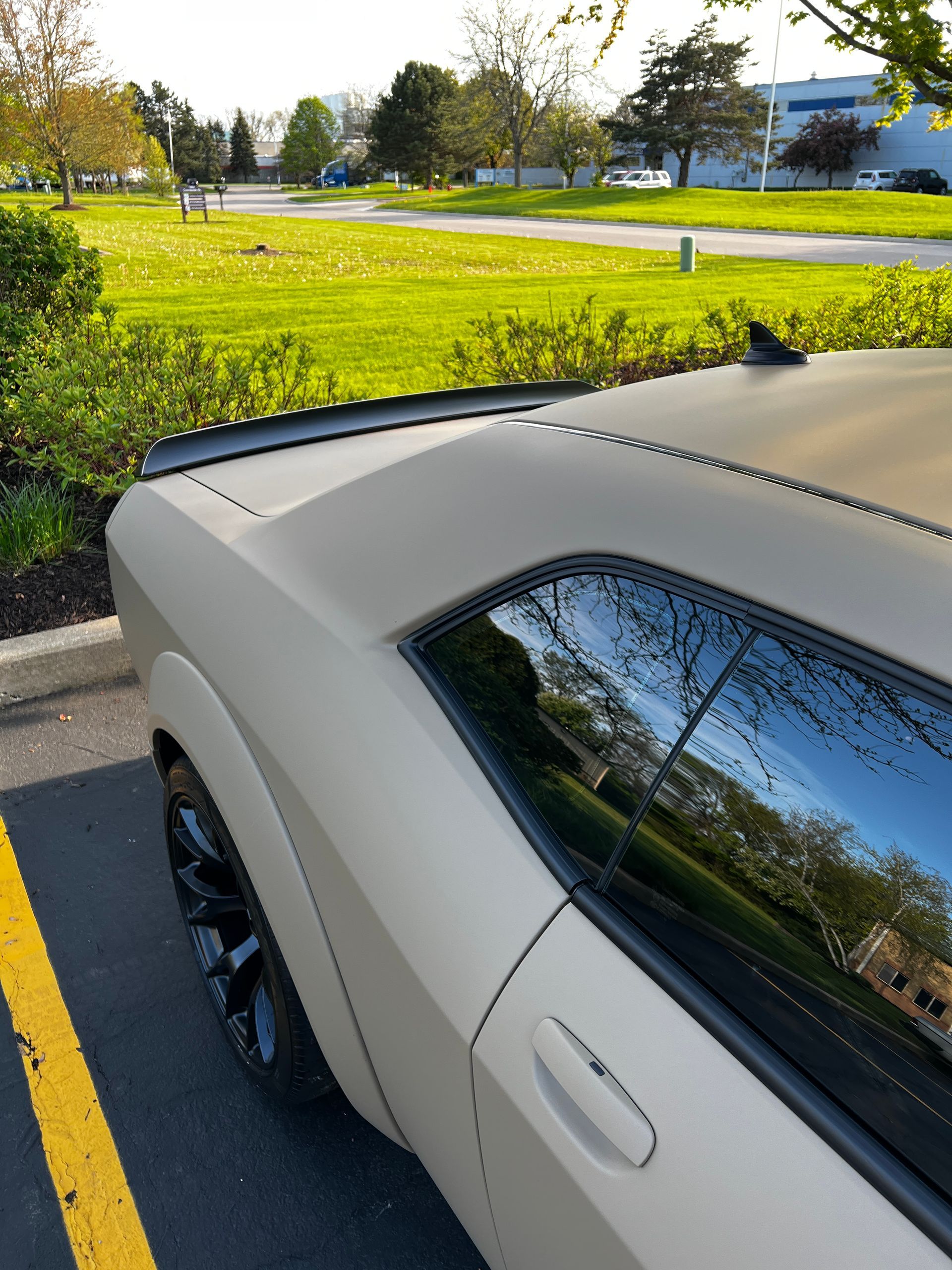 Beige sports car parked beside a grassy waterfront under bright sunlight