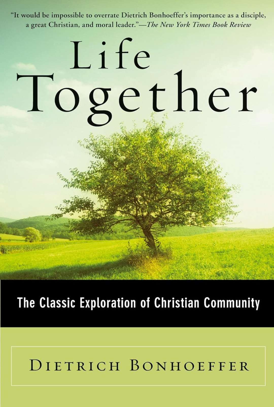 A book called life together by Dietrich Bonhoeffer