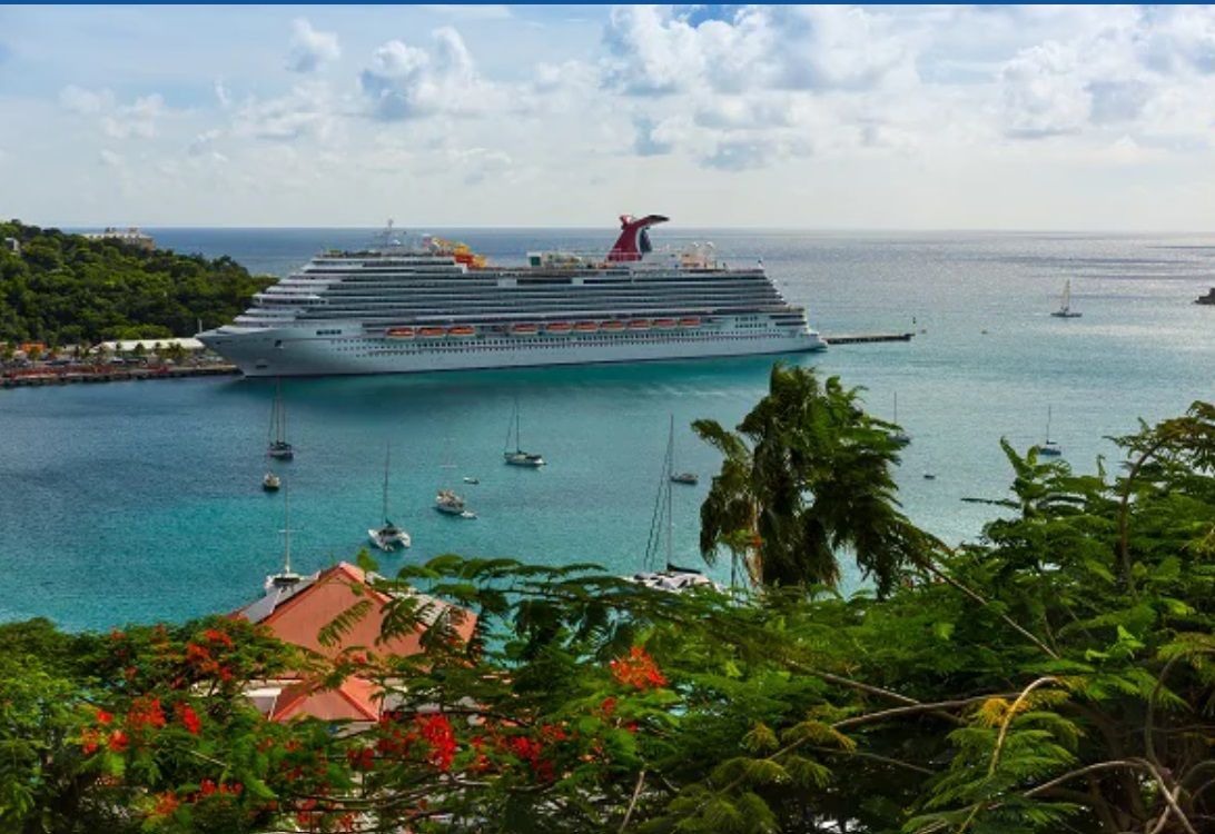 Cruise ship docked in turquoise water near lush green foliage, blue sky.
