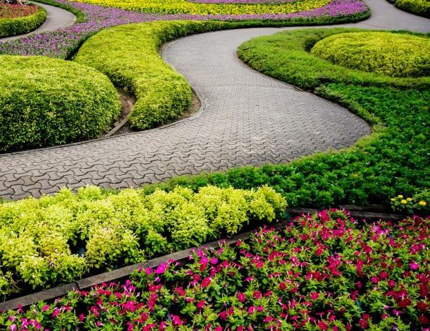 A winding paved garden path surrounded by sculpted, bright green hedges and beds of purple and magenta flowers.