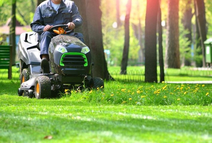 A person in work clothes drives a dark grey and green riding lawn mower across a sunny park lawn with yellow wildflowers.