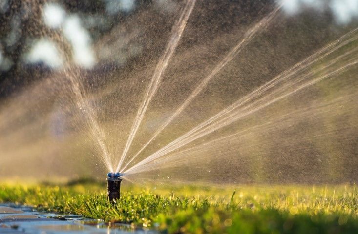 A pop-up sprinkler head watering a green grass lawn under bright, warm sunlight.