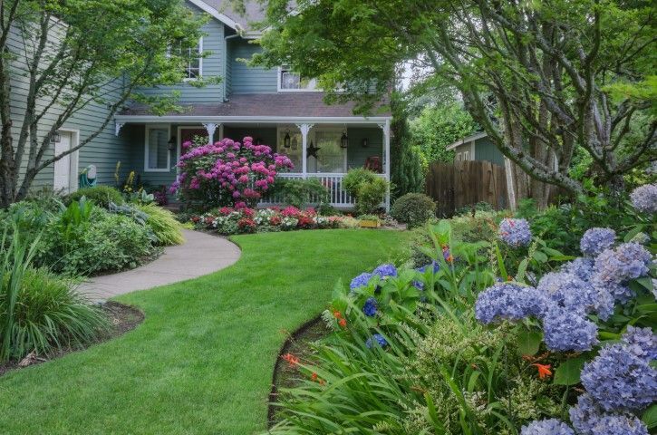 A two-story blue house with a covered porch, set behind a lush green lawn, curved walkway, and vibrant purple hydrangeas.