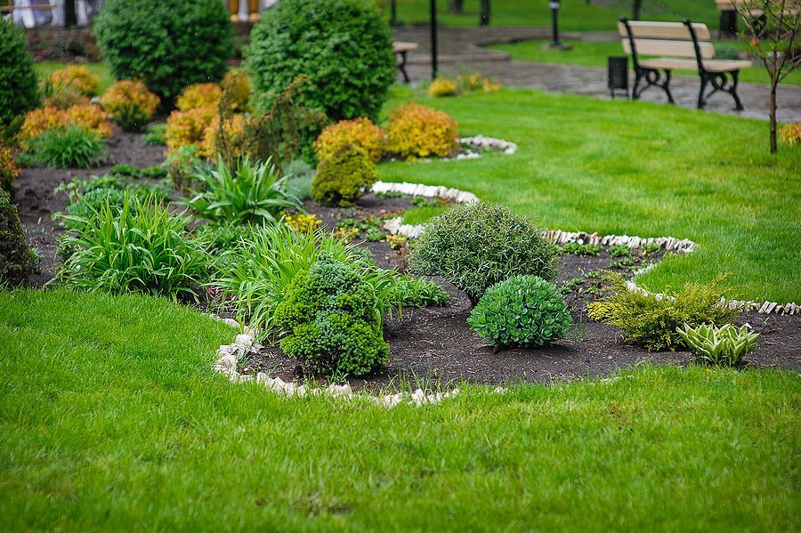 Curated garden bed with stone edging and lush green lawn.
