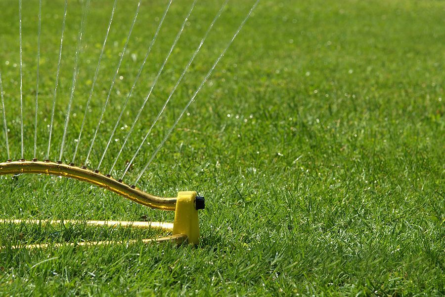 Yellow oscillating lawn sprinkler spraying water over green grass.