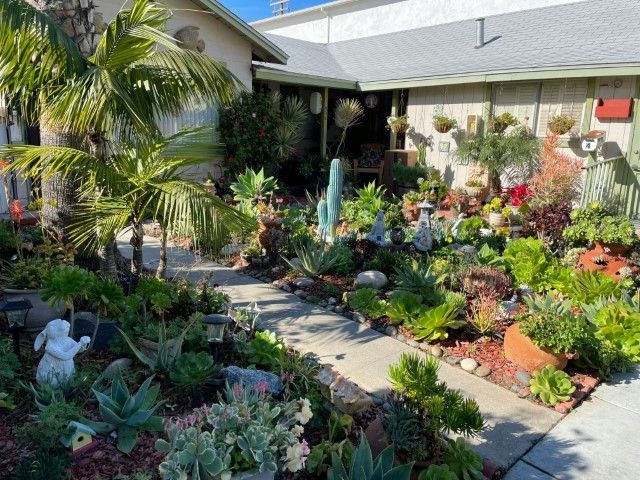 A paved path leads through a lush front yard garden filled with diverse succulents, potted plants, and garden ornaments.