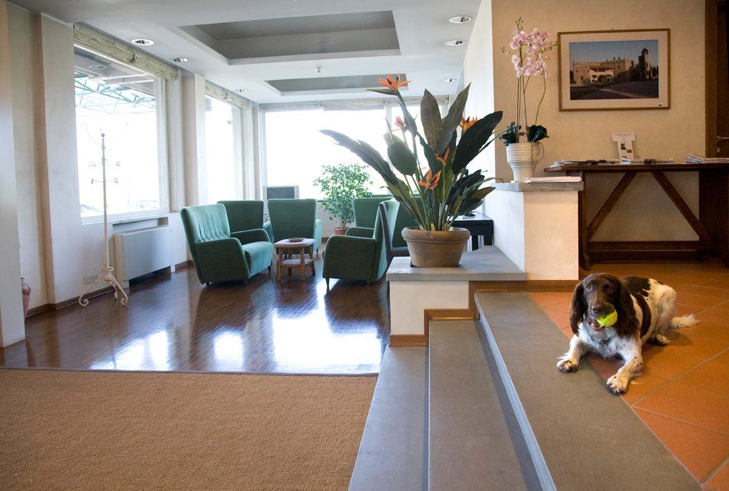 Un cane è sdraiato sul pavimento in un soggiorno