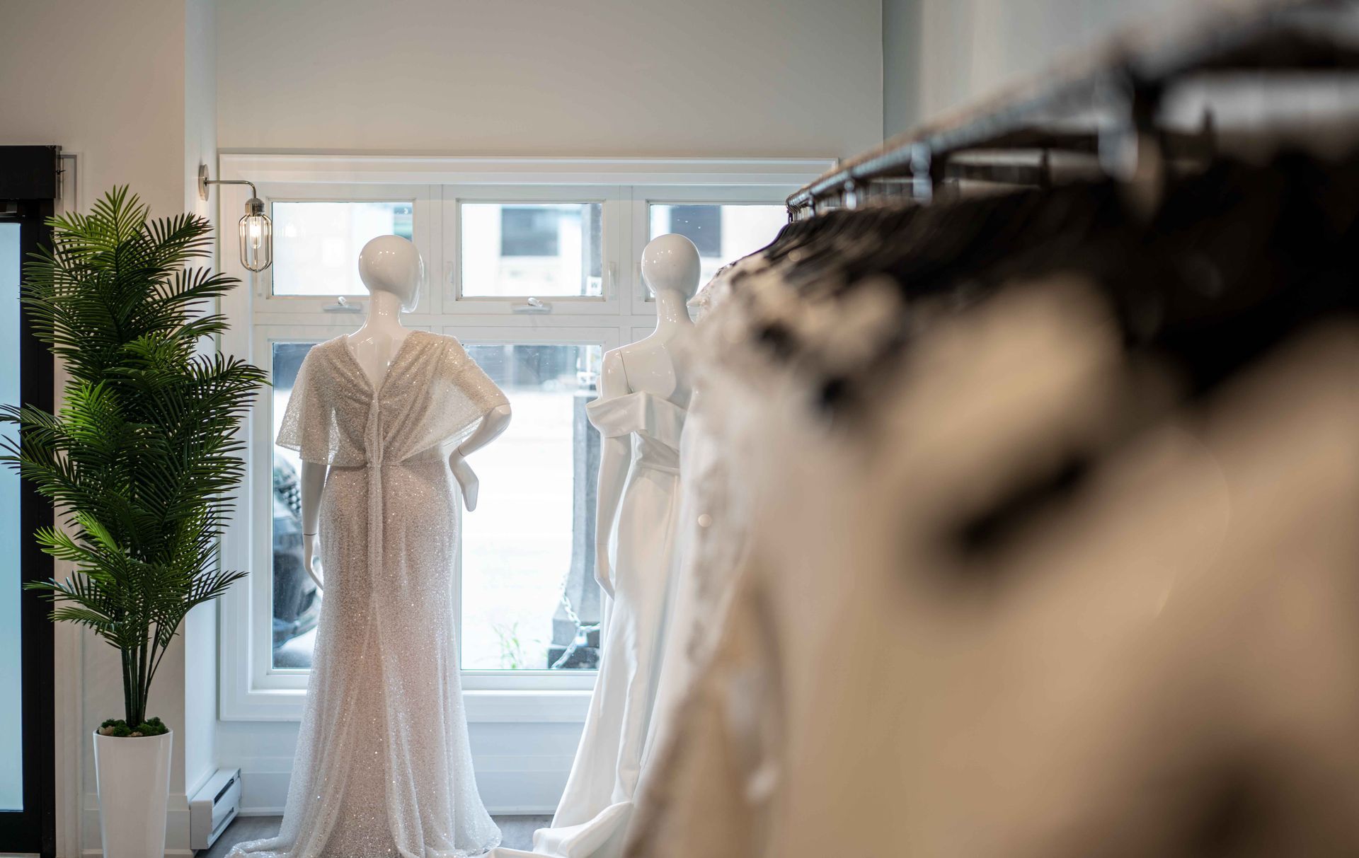 Occasion Dresses