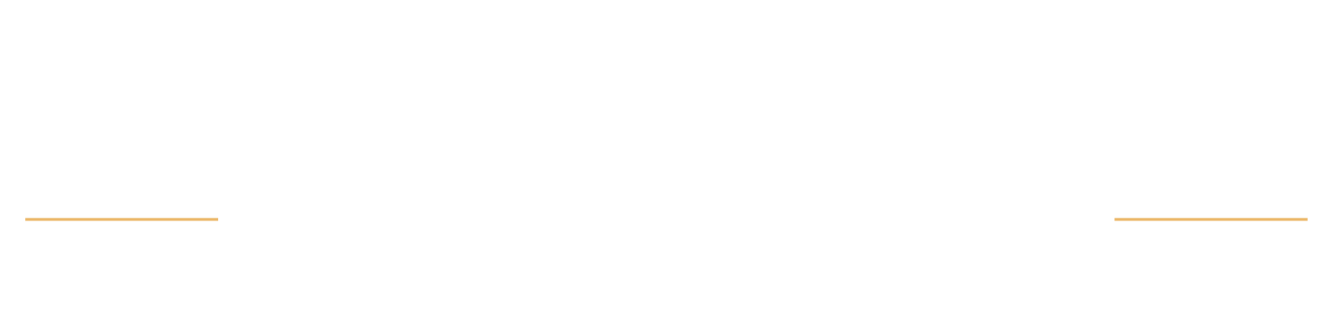 A thin, horizontal grey line spanning the width of the frame, centered vertically.