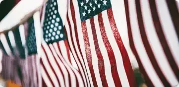A row of American flags hanging vertically, featuring prominent red and white stripes and blue fields with white stars.