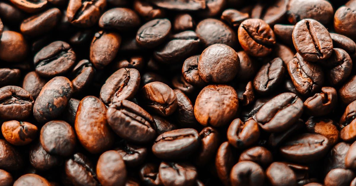 【本質咖啡】日常晨光｜1.13kg 咖啡豆經濟分享包｜家庭號（中焙）