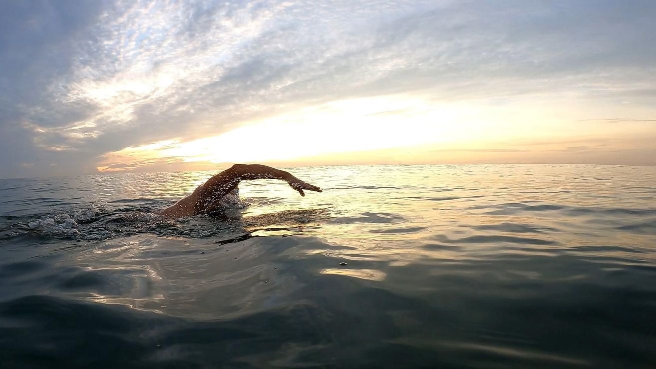 A person is swimming in the ocean at sunset.