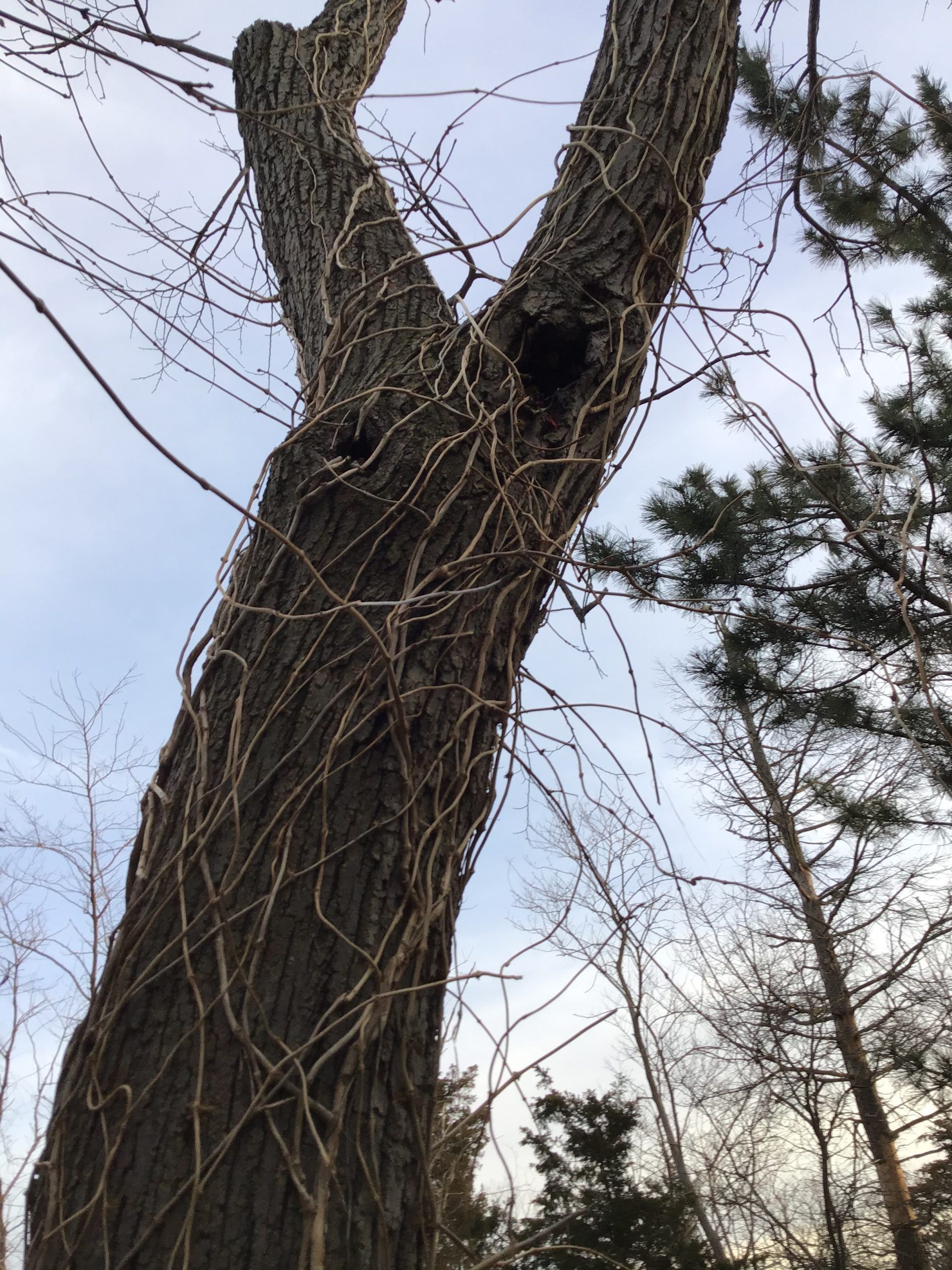 photo by Lily Flockhart