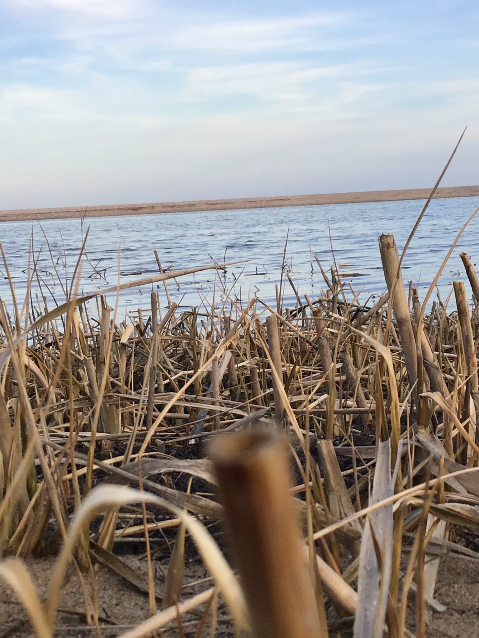 photo by Lily Flockhart