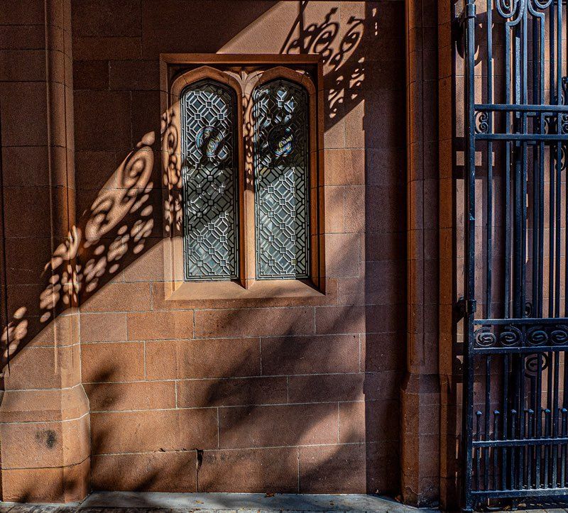 photo by Allen Trafny