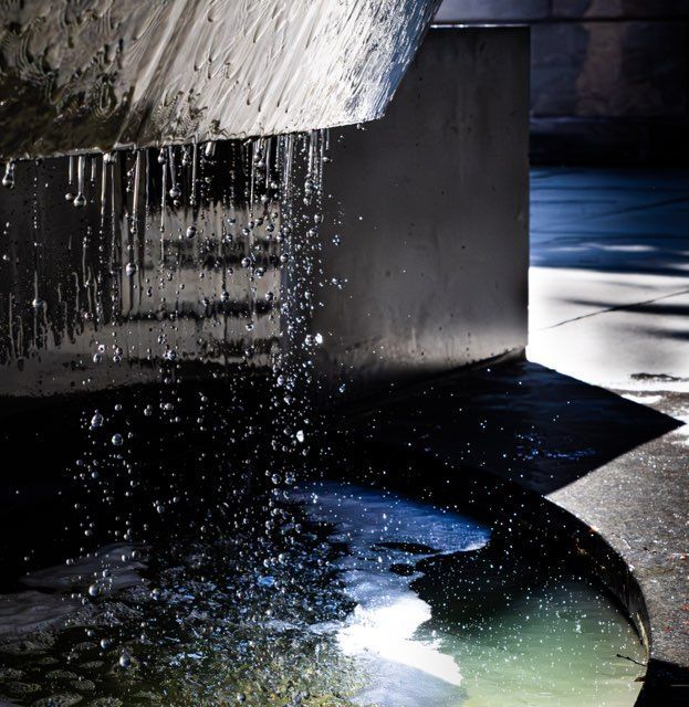 photo by Michelle Duprey