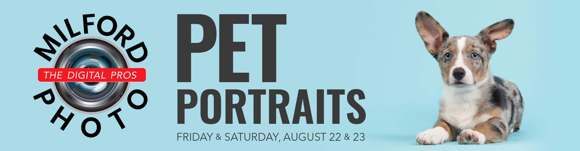 Pet Portraits at Milford Photo