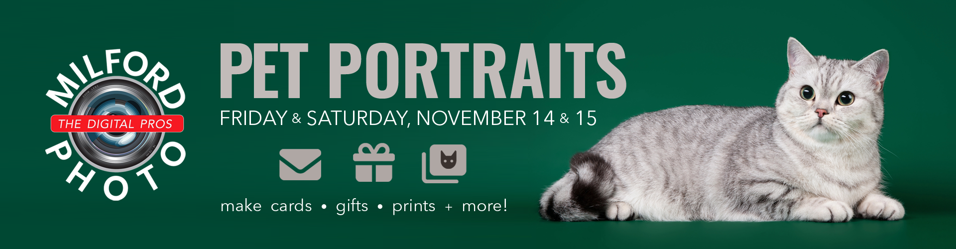 Pet Portraits at Milford Photo