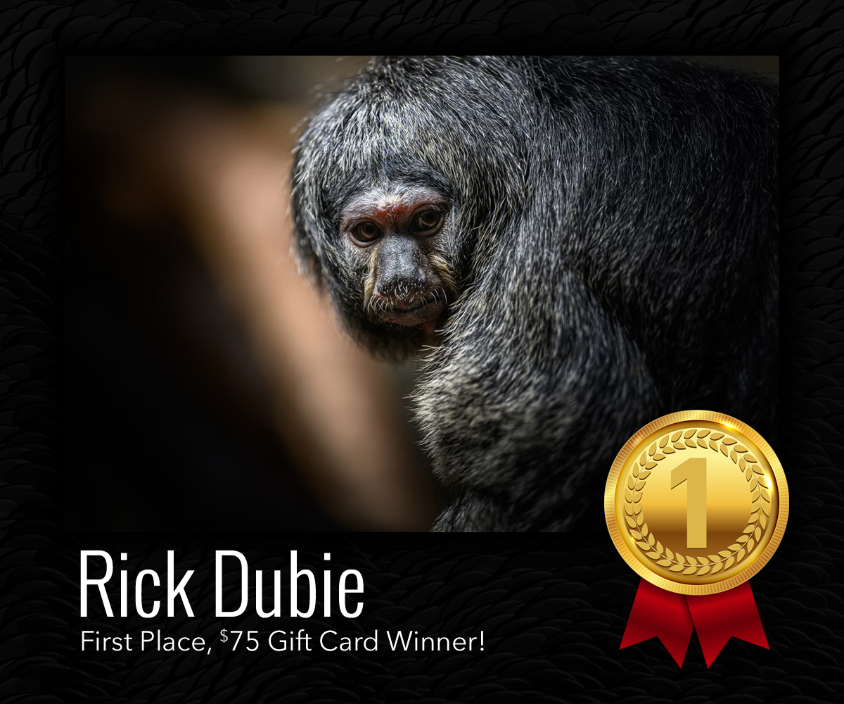 Connecticut's Beardsley Zoo | Photo Contest