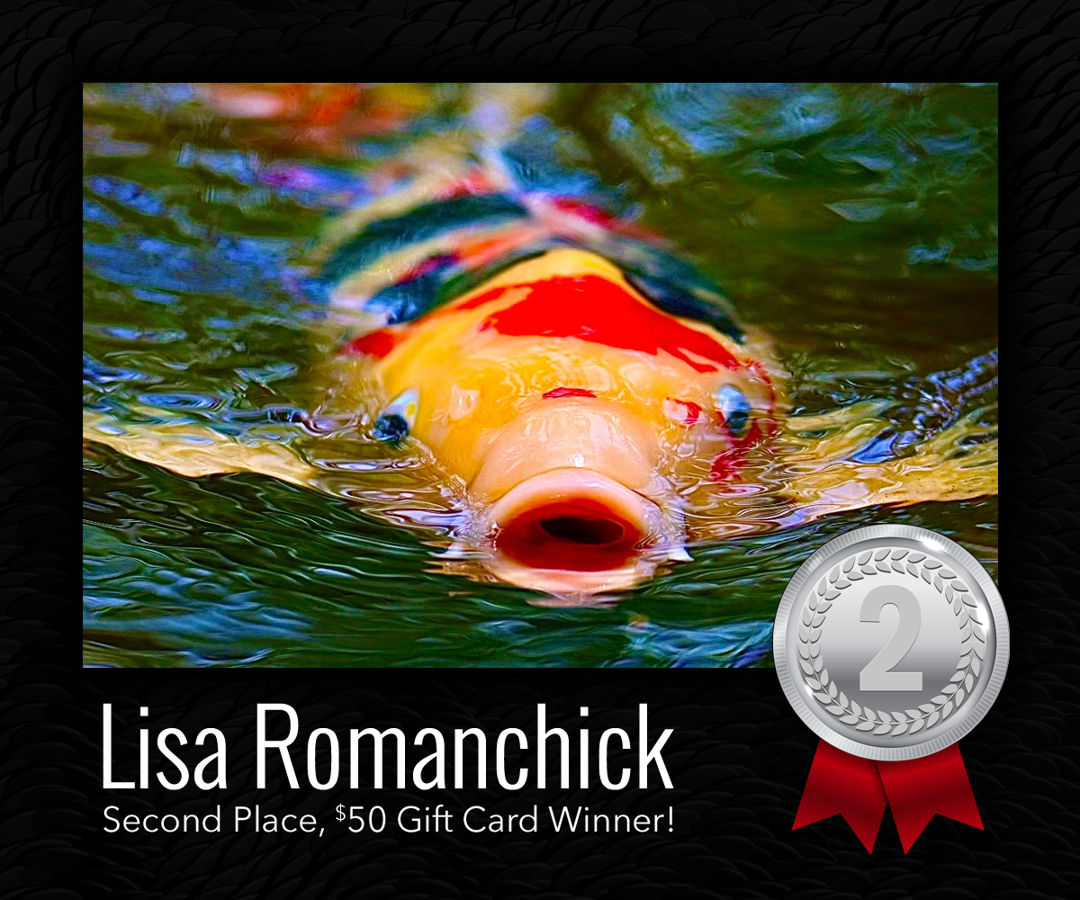 Connecticut's Beardsley Zoo | Photo Contest
