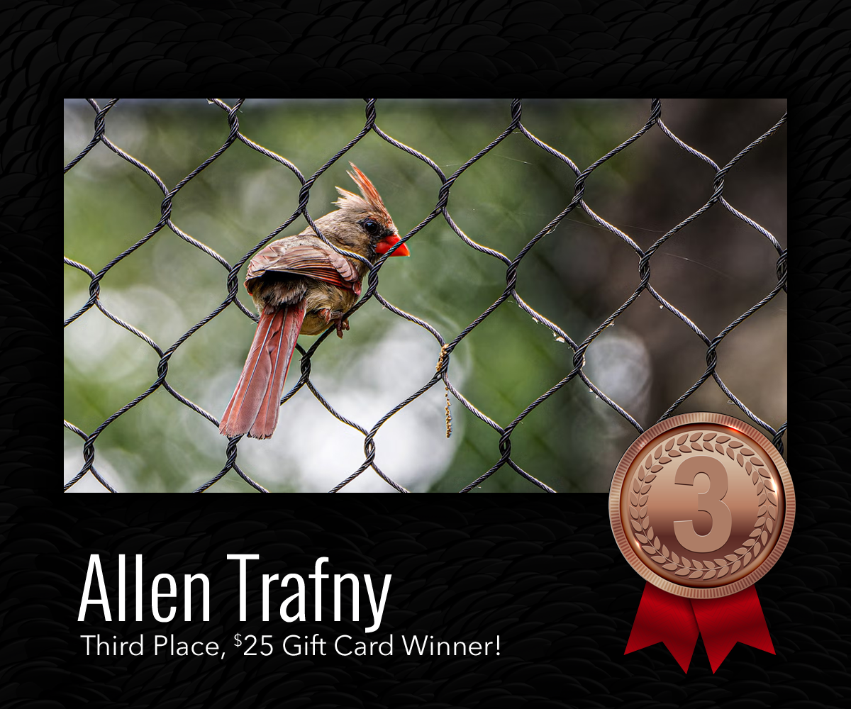 Connecticut's Beardsley Zoo | Photo Contest