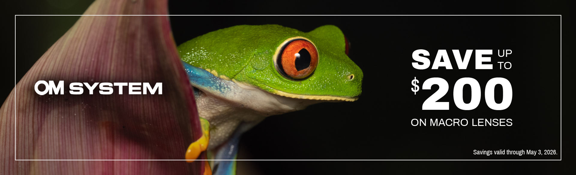 Save on OM System at Milford Photo