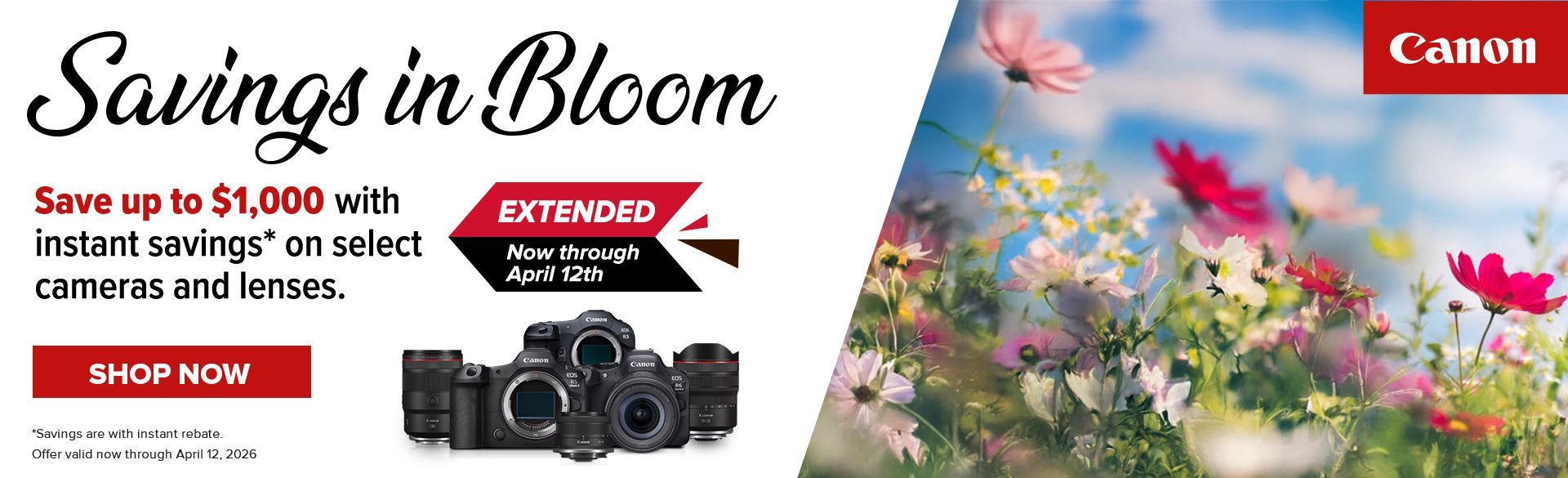 Save on Canon at Milford Photo