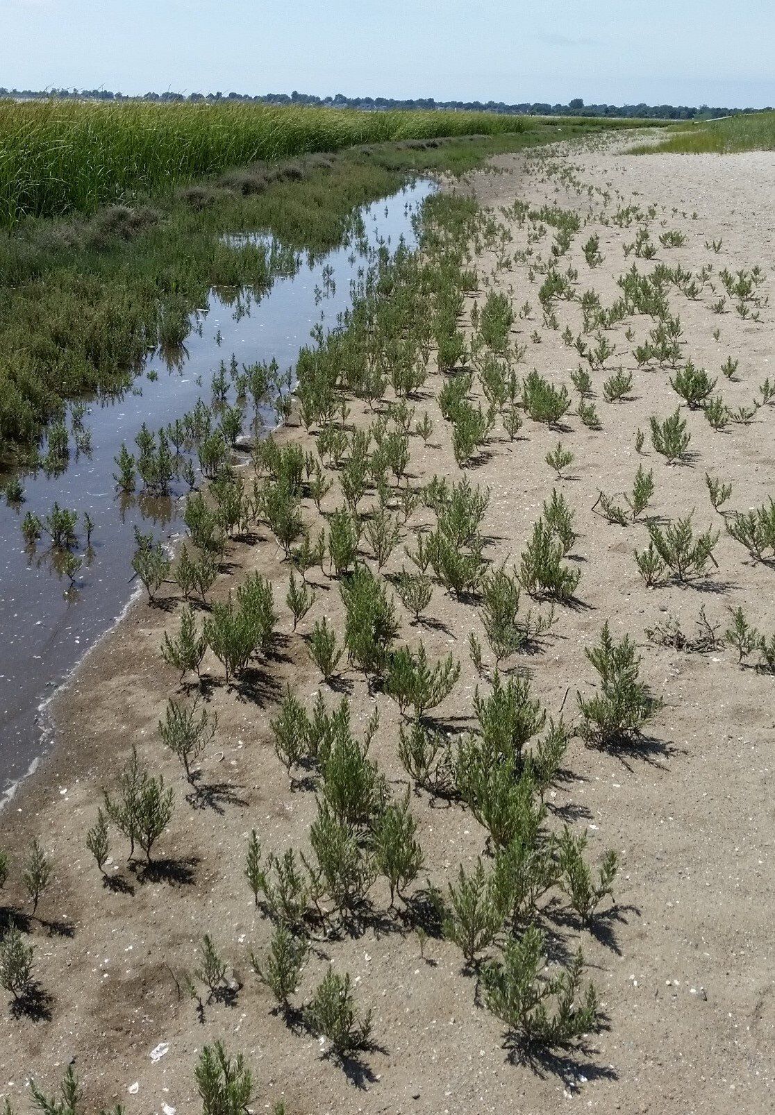 photo by Kara-Lynn Flockhart