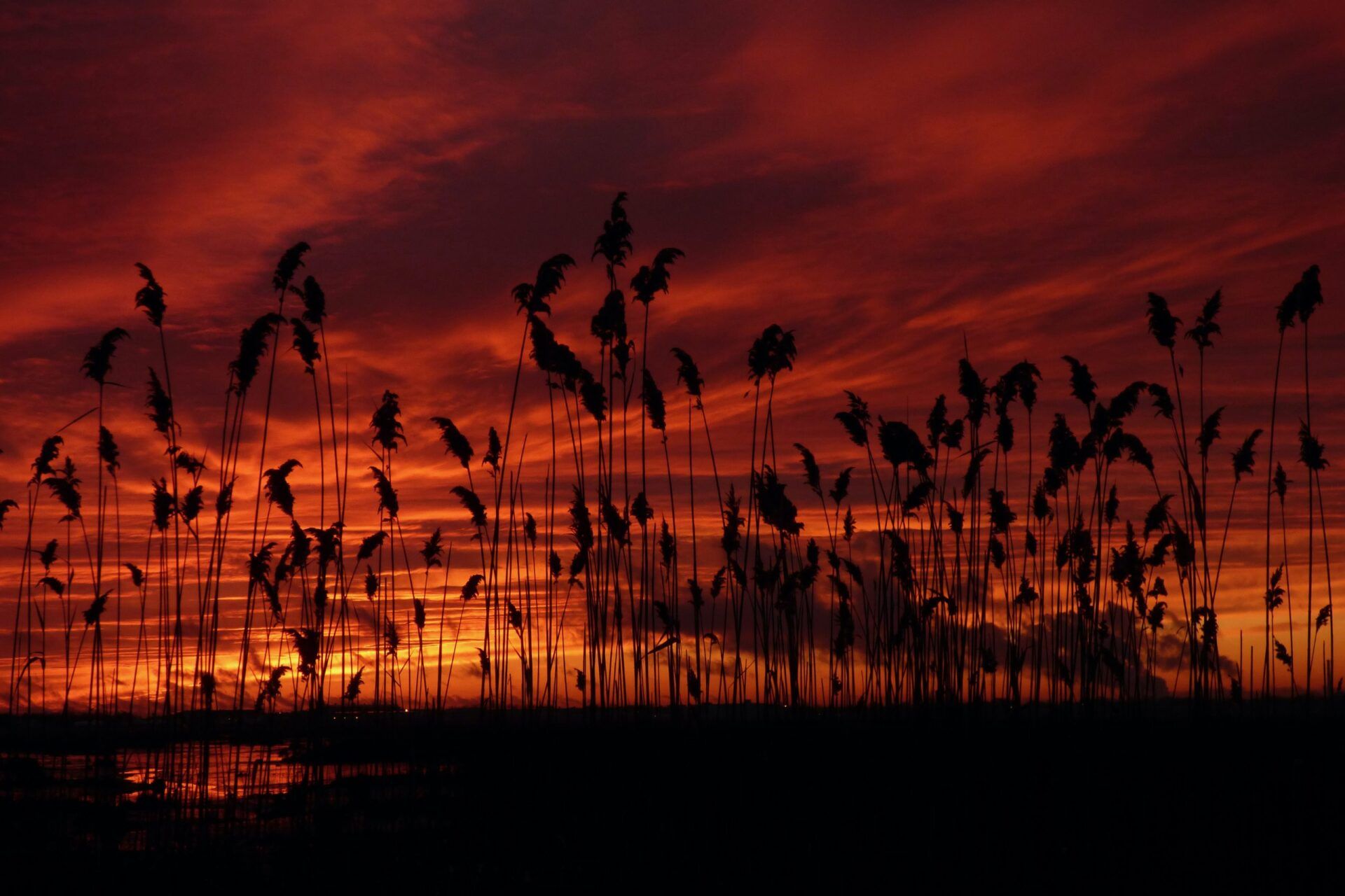 photo by Beth Malarkey Maroney