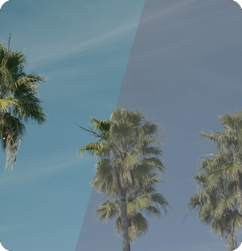 Nikon Z 6III Mirrorless Camera