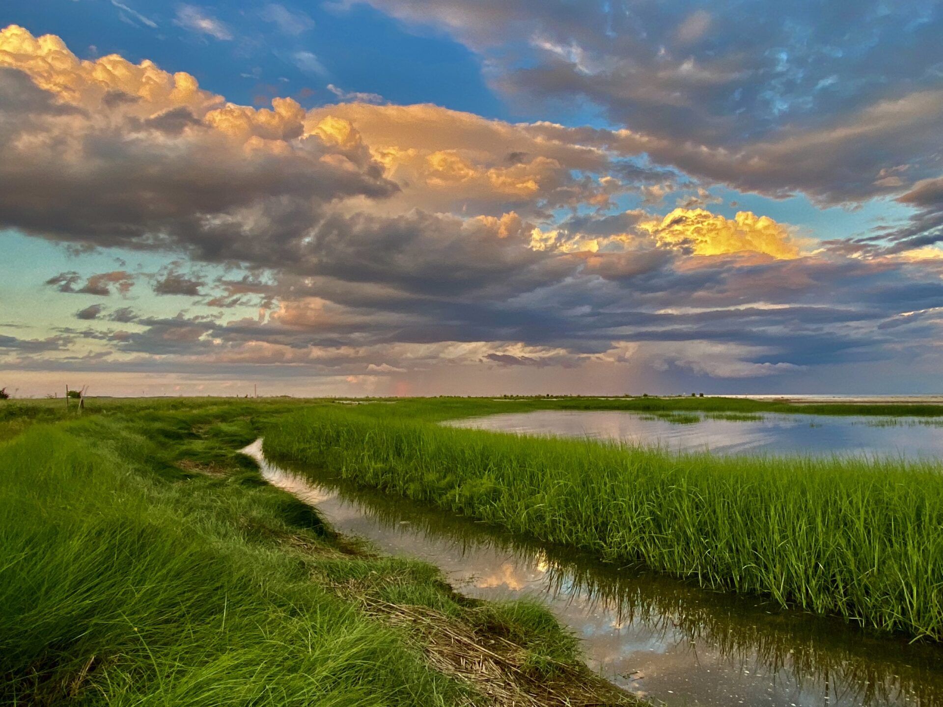 photo by Gretchen Hayden