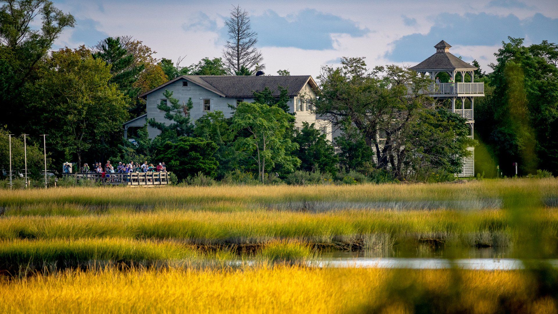 photo by Mathew Collen