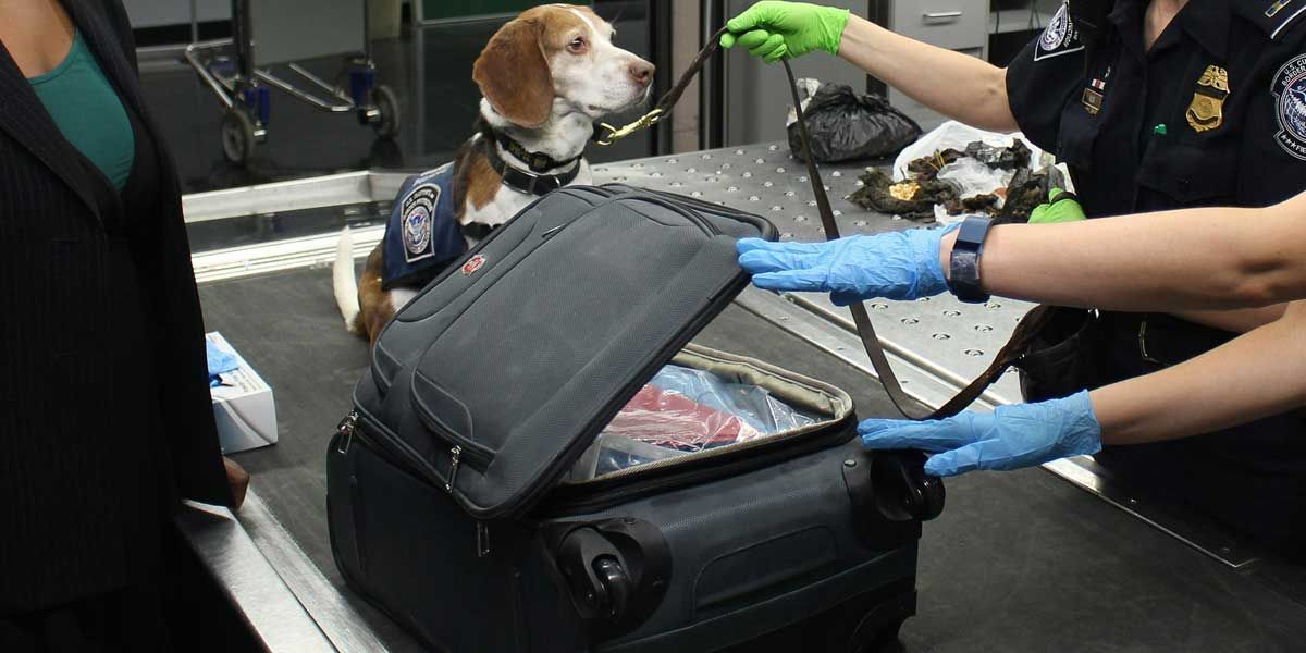 airport security