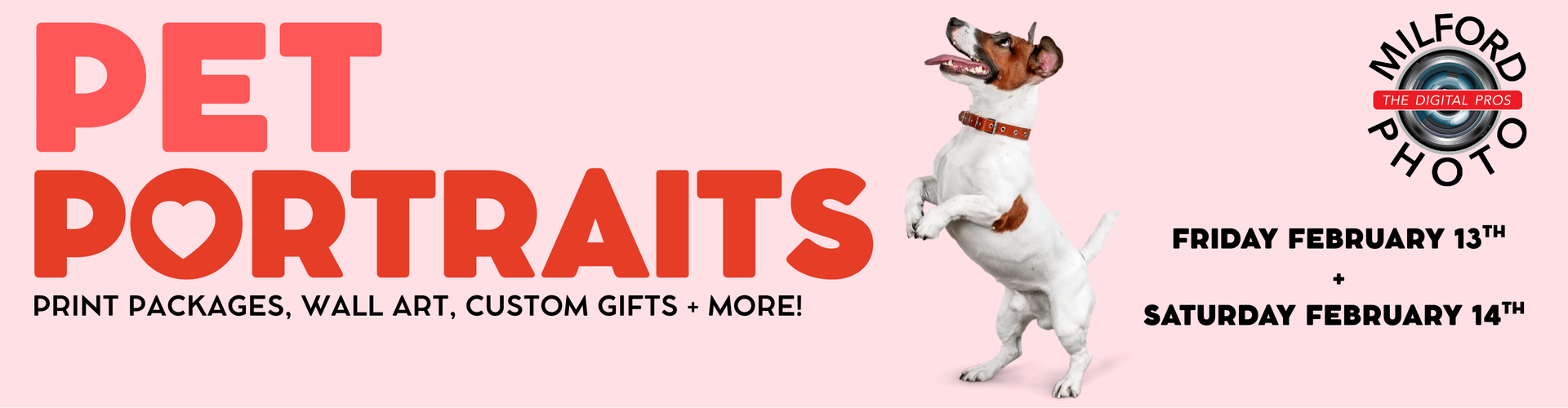 Pet Portraits at Milford Photo