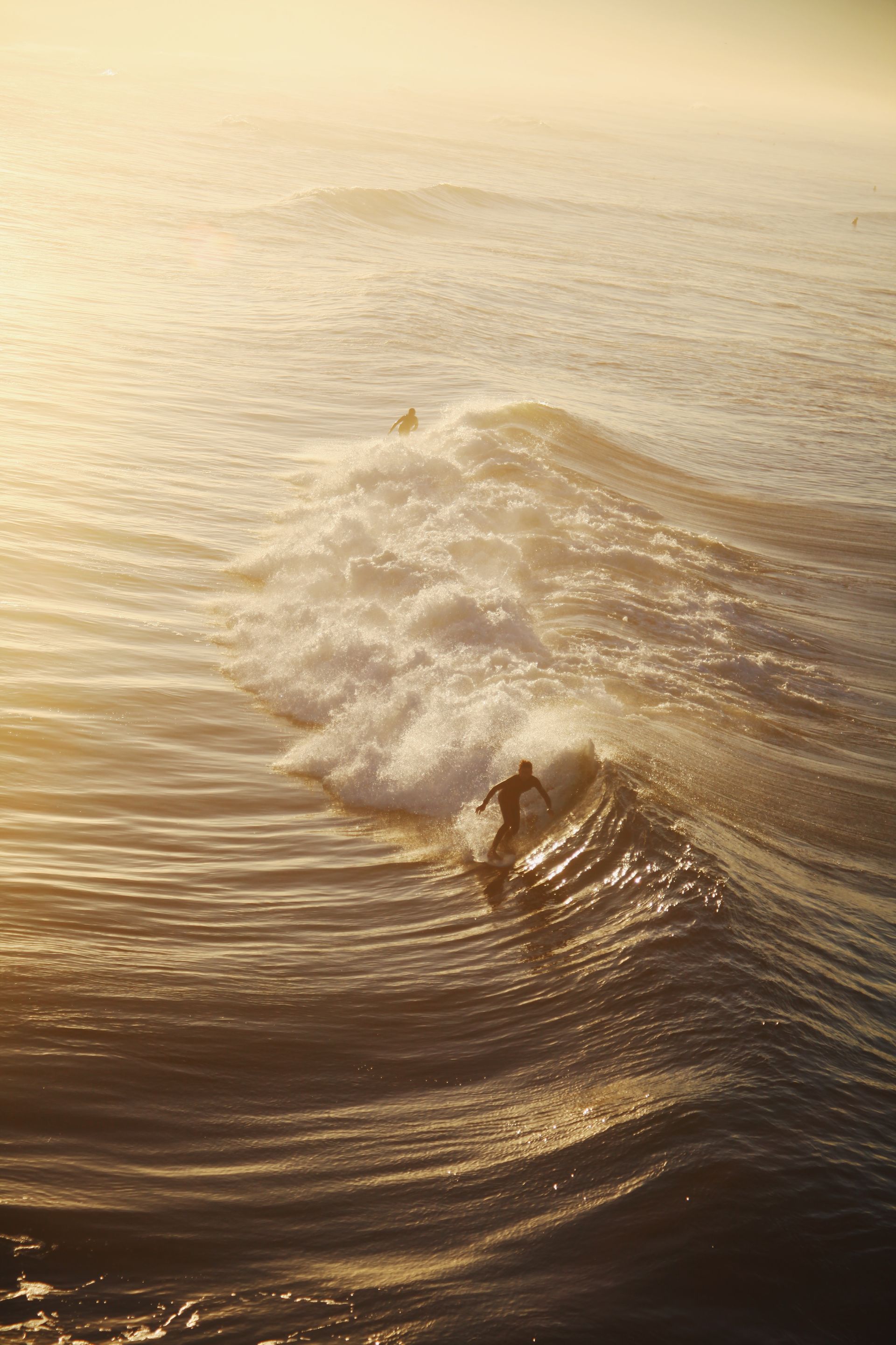 Golden Surfer by Alex Balansay