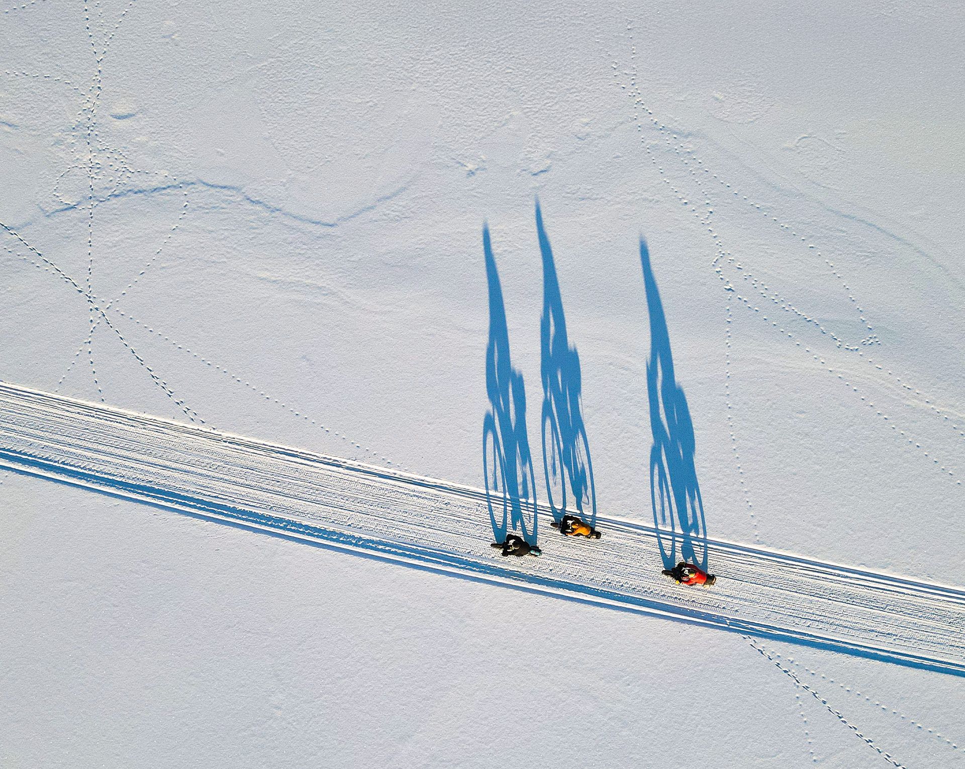 Shadow Riders by Mark Smith