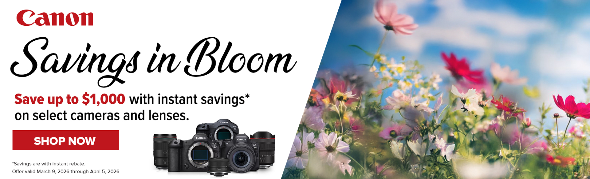 Save on Canon at Milford Photo