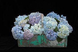 photo by Michele Garrick