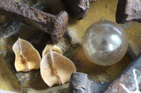 photo by Michele Garrick